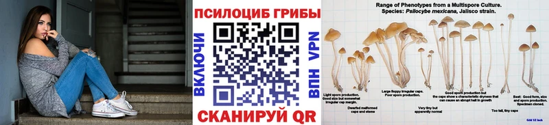 Псилоцибиновые грибы Cubensis  мега зеркало  Лянтор 